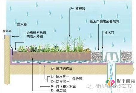 景觀規范設計-屋頂花園設計規范摘要