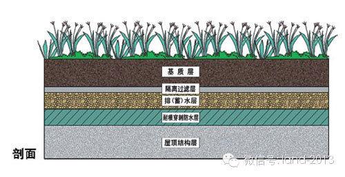 景觀規范設計-屋頂花園設計規范摘要