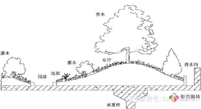 景觀規范設計-屋頂花園設計規范摘要