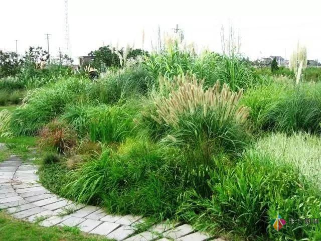 重慶72種常見私家花園綠化植物有哪些？