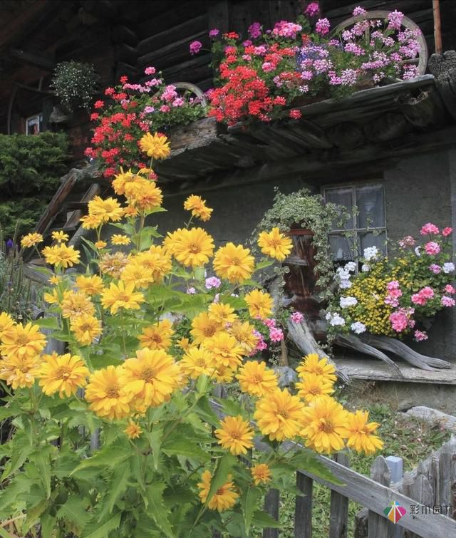 這樣子的庭院花園施工維護，花鏡美的不要不要的！