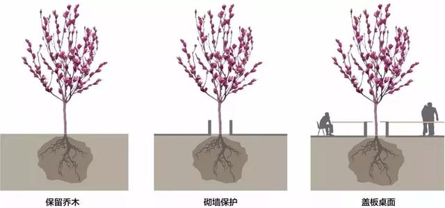 2019新名詞樹桌花園庭院設計