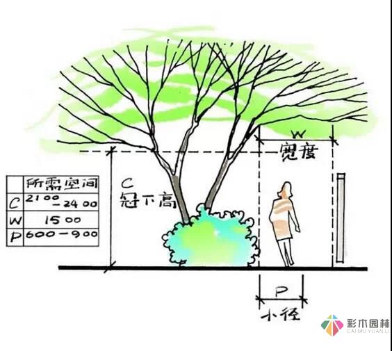 這樣的花園設計才有調性！