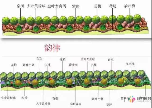 園林綠化及園林綠化施工過程全解