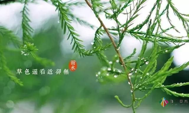 17種園林綠化種植技術及處理辦法，值得珍藏！