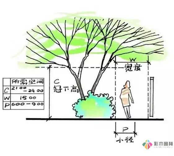 把握花園設(shè)計(jì)要素，建造實(shí)用私家花園