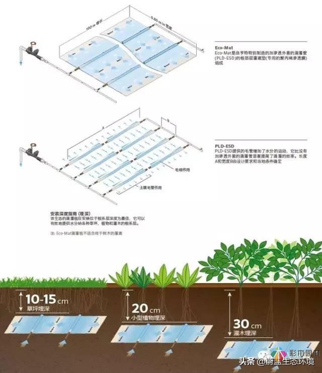 屋頂花園設計規范及植物配置！值得珍藏