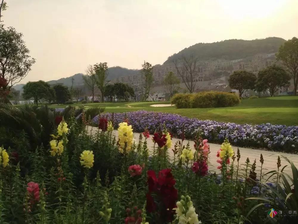 彩木園林花境園藝太漂亮，我也想弄一個！