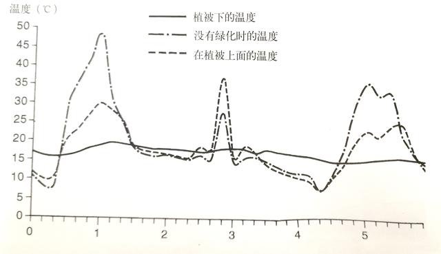 屋頂花園設(shè)計(jì)不光是好看，更有這些你不知道！