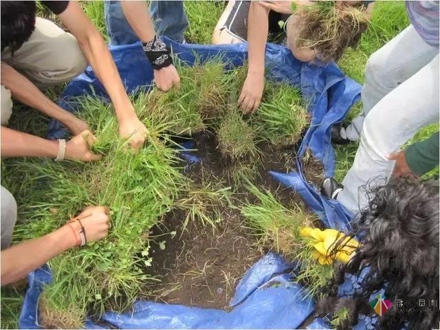 庭園設計|質樸的自然田園風，民宿庭園設計的要素