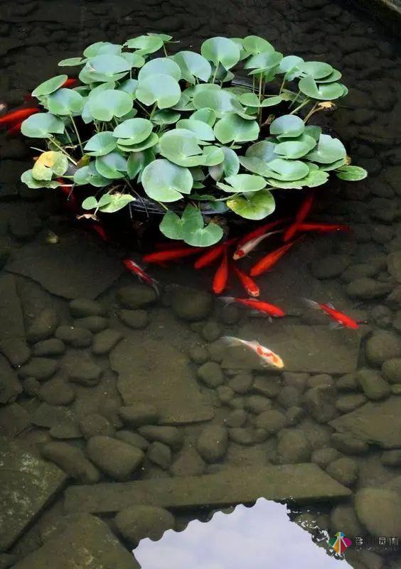 庭院花園設計怎么少的了水景？