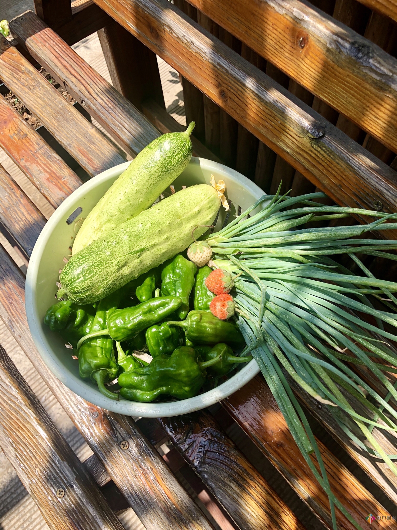 100㎡的復式露臺，半花半菜，有詩意，有生活，如此愜意。