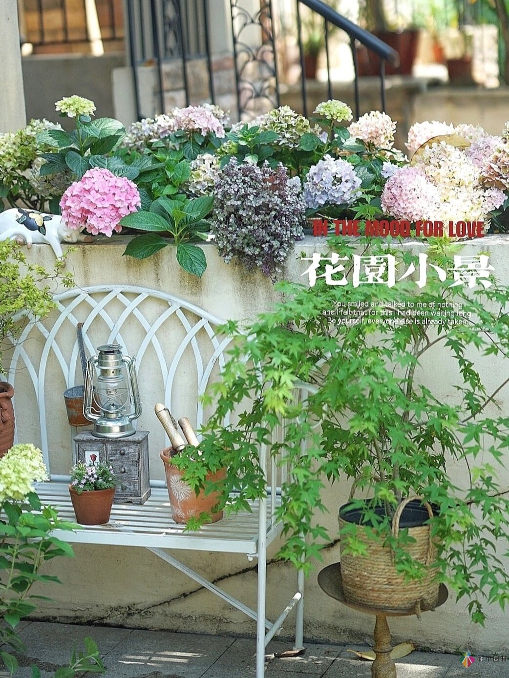 DIY園藝:自建設計100㎡花園。花不了多少錢，卻很有成就感。