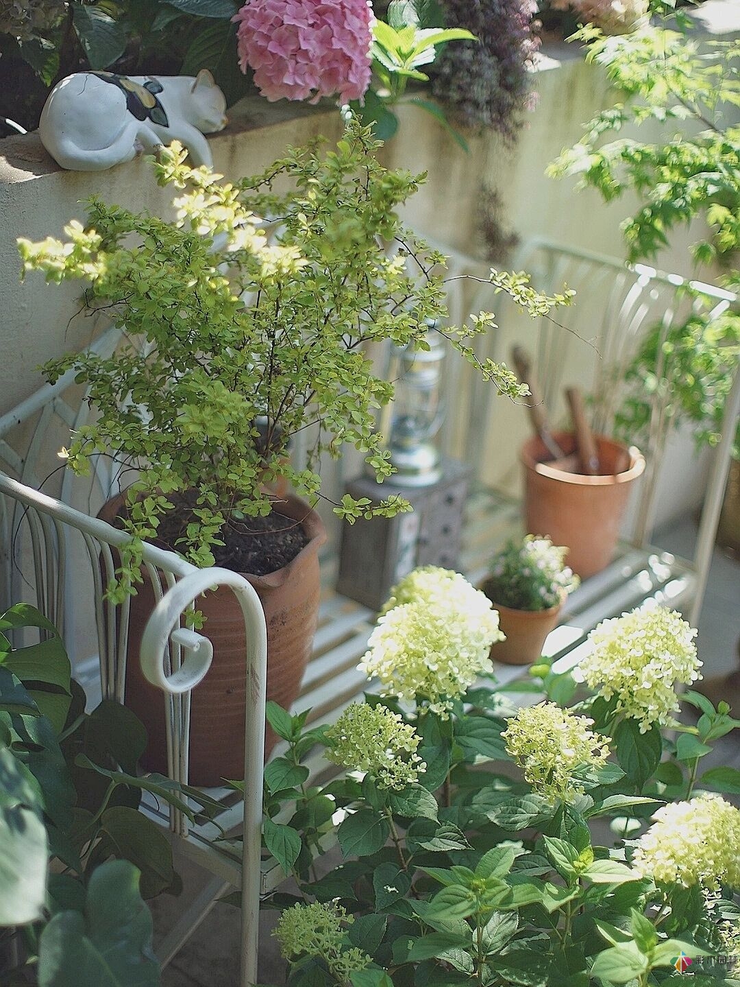 DIY園藝:自建設計100㎡花園。花不了多少錢，卻很有成就感。