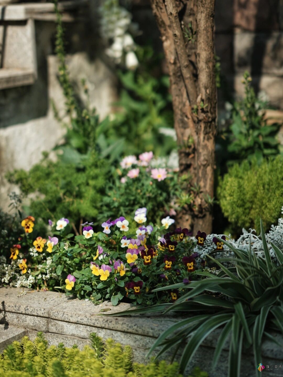 DIY園藝:自建設計100㎡花園。花不了多少錢，卻很有成就感。