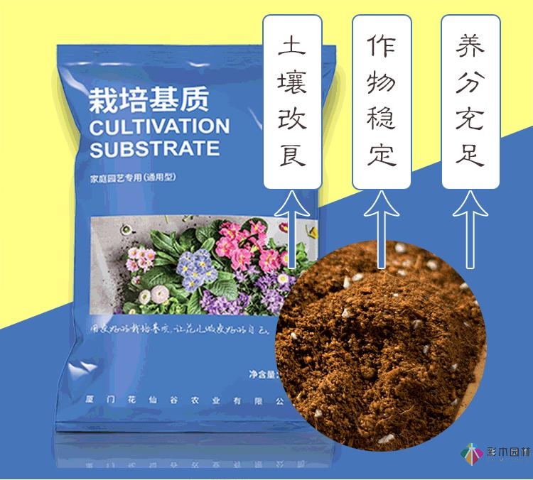 不顧父母反對，買了一層110㎡的院子，自己一個人折騰成花園。就這么治好了。
