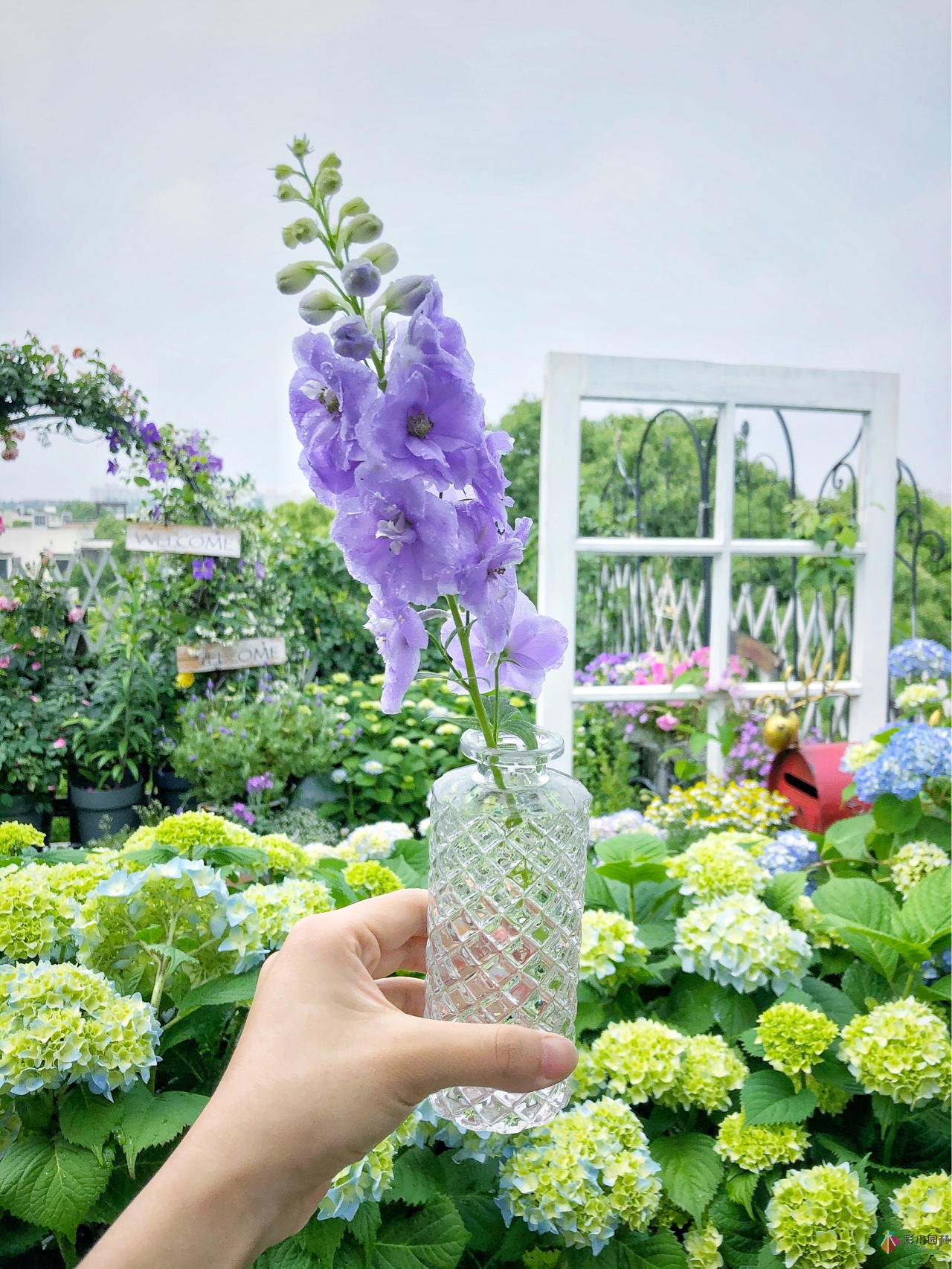 花了4年時間搭建了13㎡的屋頂露臺花園，每個角落都美如畫