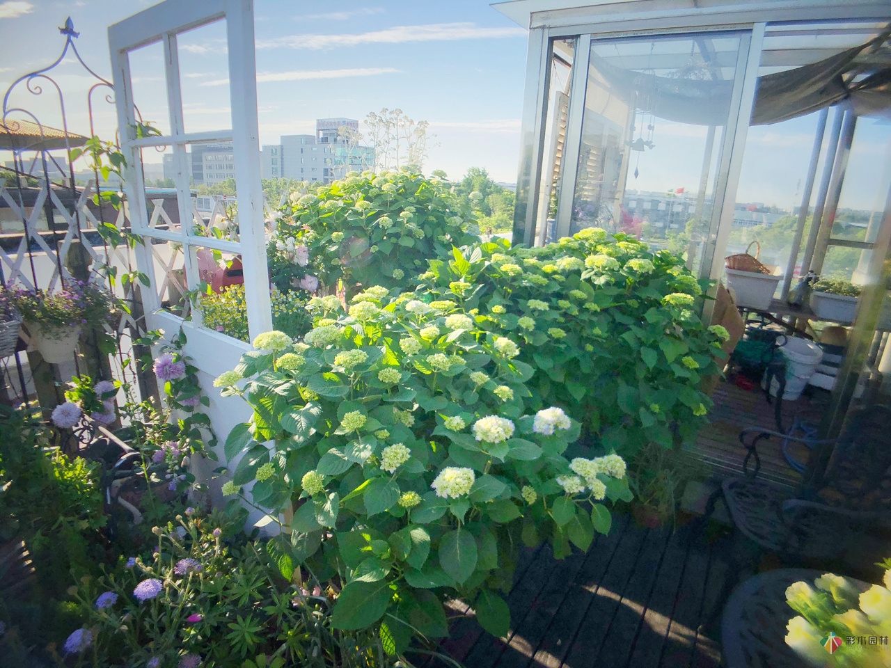 花了4年時間搭建了13㎡的屋頂露臺花園，每個角落都美如畫