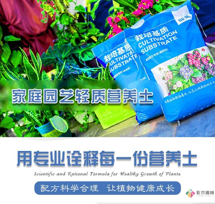 舊房改造:DIY 花園攻略，快速利用閑置空間，很漂亮。