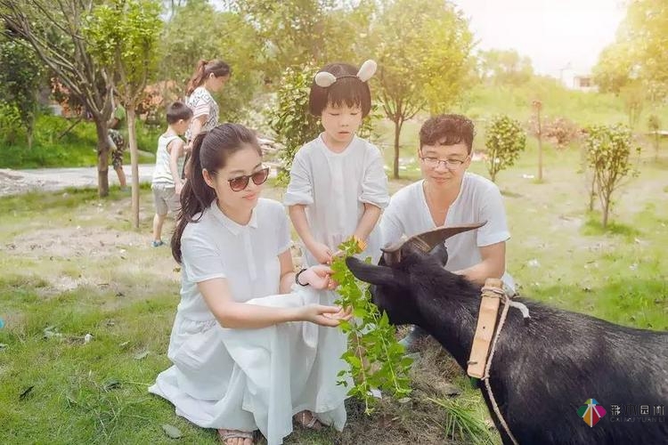 健康長壽的秘訣竟然是……一座治愈性花園？